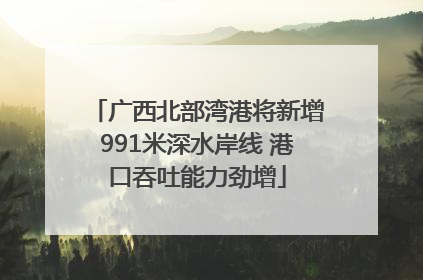 广西北部湾港将新增991米深水岸线 港口吞吐能力劲增