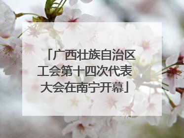 广西壮族自治区工会第十四次代表大会在南宁开幕