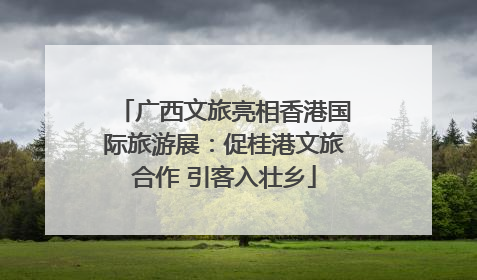 广西文旅亮相香港国际旅游展：促桂港文旅合作 引客入壮乡