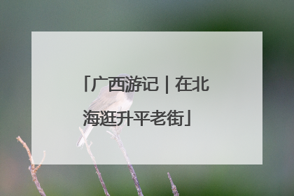 广西游记｜在北海逛升平老街