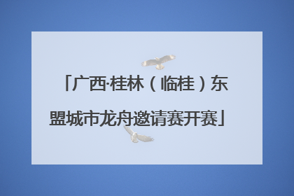 广西·桂林（临桂）东盟城市龙舟邀请赛开赛