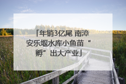 年销3亿尾 南漳安乐堰水库小鱼苗“孵”出大产业