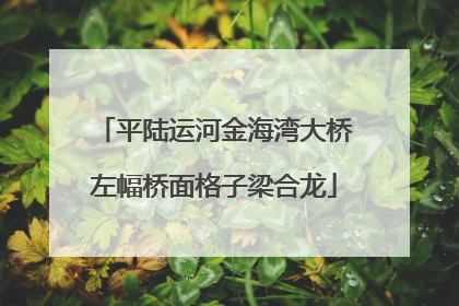 平陆运河金海湾大桥左幅桥面格子梁合龙