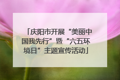 庆阳市开展“美丽中国我先行”暨“六五环境日”主题宣传活动