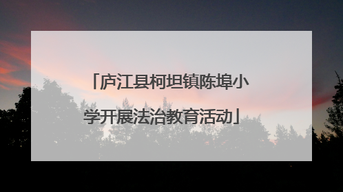 庐江县柯坦镇陈埠小学开展法治教育活动