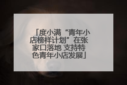 度小满“青年小店榜样计划”在张家口落地 支持特色青年小店发展