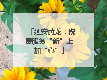 延安黄龙：税费服务“新”上加“心”