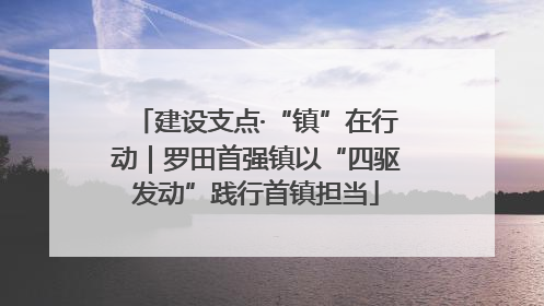 建设支点·“镇”在行动｜罗田首强镇以“四驱发动”践行首镇担当
