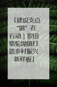 建设支点·“镇”在行动｜罗田骆驼坳镇打造乡村振兴新样板