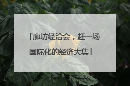 廊坊经洽会，赶一场国际化的经济大集