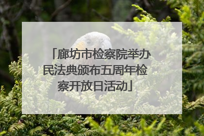 廊坊市检察院举办民法典颁布五周年检察开放日活动