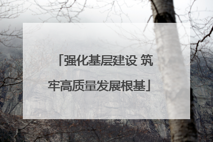 强化基层建设 筑牢高质量发展根基
