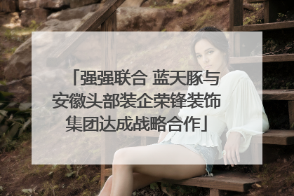 强强联合 蓝天豚与安徽头部装企荣锋装饰集团达成战略合作
