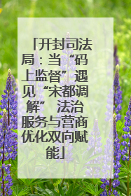 开封司法局：当“码上监督”遇见“宋都调解” 法治服务与营商优化双向赋能
