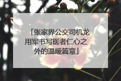 张家界公交司机龙用军书写医者仁心之外的温暖篇章