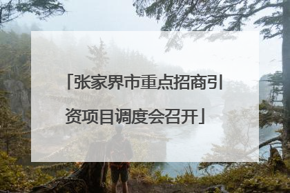 张家界市重点招商引资项目调度会召开
