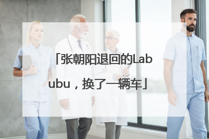 张朝阳退回的Labubu，换了一辆车