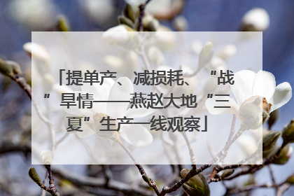 提单产、减损耗、“战”旱情——燕赵大地“三夏”生产一线观察