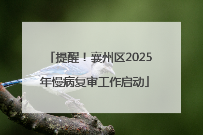 提醒！襄州区2025年慢病复审工作启动