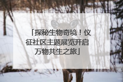 探秘生物奇境！仪征社区主题展览开启万物共生之旅