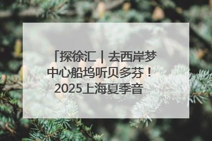 探徐汇｜去西岸梦中心船坞听贝多芬！2025上海夏季音乐节公布节目阵容