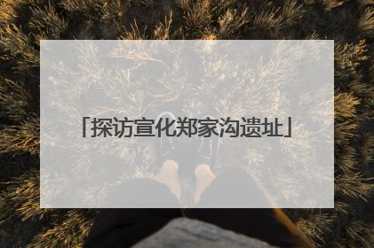 探访宣化郑家沟遗址