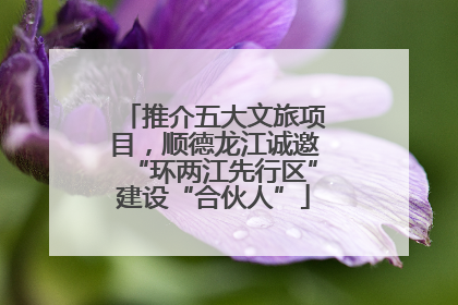 推介五大文旅项目，顺德龙江诚邀“环两江先行区”建设“合伙人”