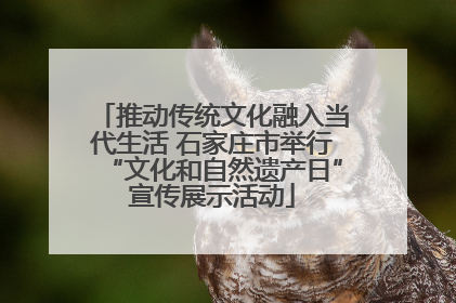 推动传统文化融入当代生活 石家庄市举行“文化和自然遗产日”宣传展示活动