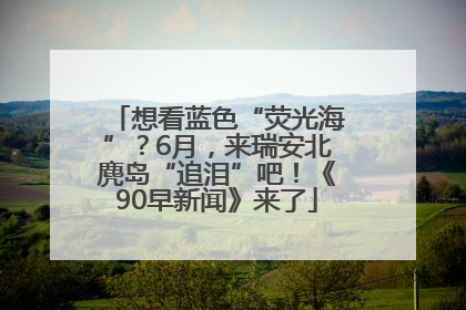 想看蓝色“荧光海”？6月，来瑞安北麂岛“追泪”吧！《90早新闻》来了