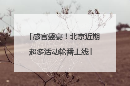 感官盛宴！北京近期超多活动轮番上线