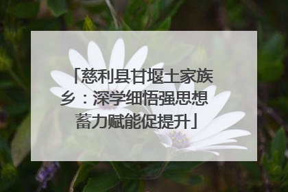 慈利县甘堰土家族乡：深学细悟强思想 蓄力赋能促提升