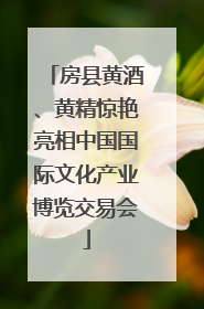 房县黄酒、黄精惊艳亮相中国国际文化产业博览交易会