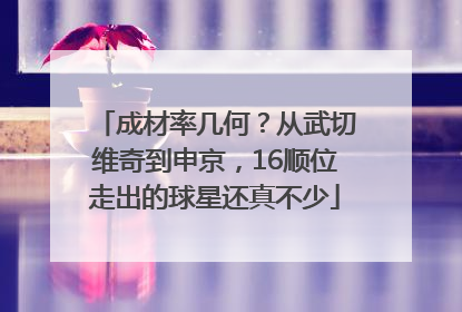 成材率几何？从武切维奇到申京，16顺位走出的球星还真不少