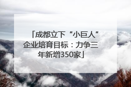 成都立下“小巨人”企业培育目标：力争三年新增350家