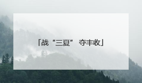 战“三夏” 夺丰收
