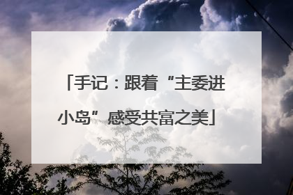 手记：跟着“主委进小岛”感受共富之美