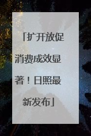扩开放促消费成效显著！日照最新发布