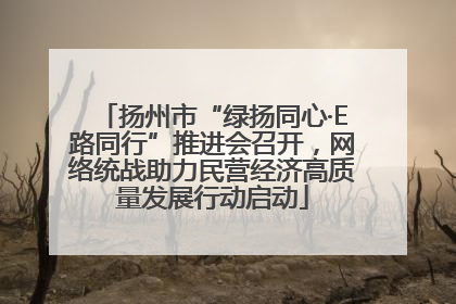 扬州市“绿扬同心·E路同行”推进会召开，网络统战助力民营经济高质量发展行动启动