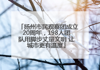 扬州市民观察团成立20周年，198人团队用脚步丈量文明 让城市更有温度