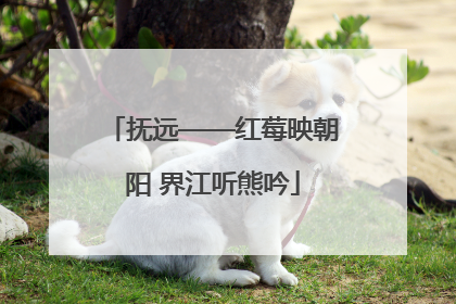 抚远——红莓映朝阳 界江听熊吟