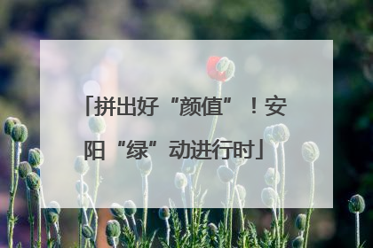 拼出好“颜值”！安阳“绿”动进行时