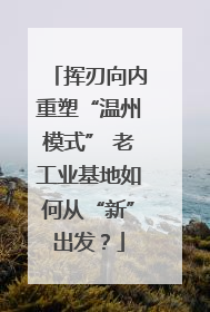 挥刃向内重塑“温州模式” 老工业基地如何从“新”出发？
