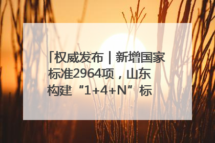 权威发布｜新增国家标准2964项，山东构建“1+4+N”标准化创新发展新格局