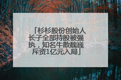 杉杉股份创始人长子全部持股被强执，知名牛散魏巍斥资1亿元入局