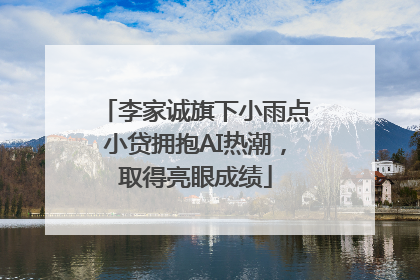 李家诚旗下小雨点小贷拥抱AI热潮，取得亮眼成绩
