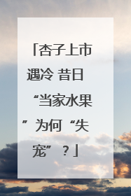杏子上市遇冷 昔日“当家水果”为何“失宠”？