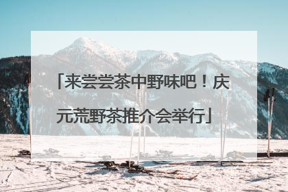 来尝尝茶中野味吧！庆元荒野茶推介会举行