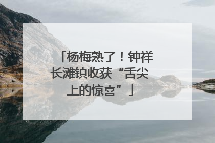 杨梅熟了！钟祥长滩镇收获“舌尖上的惊喜”