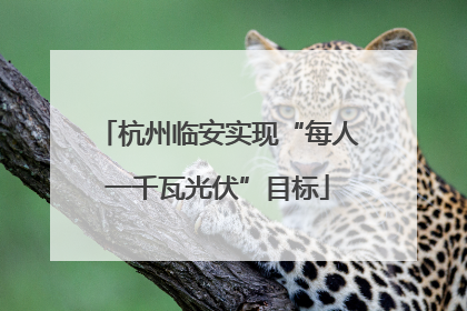 杭州临安实现“每人一千瓦光伏”目标