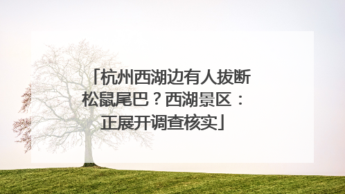 杭州西湖边有人拔断松鼠尾巴？西湖景区：正展开调查核实